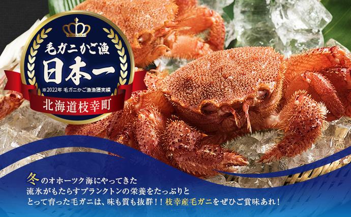 北海道枝幸町のふるさと納税 【漁獲量日本一】至福の逸品！特選冷凍「枝幸毛がに」約570g×2尾【 毛蟹 毛ガニ オホーツク 北海道 加工食品 地域のお礼の品 カタログ 毛ガニ 北海道 オホーツク 枝幸 】