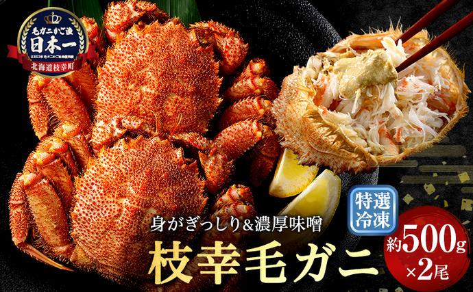 漁獲量日本一】至福の逸品！特選冷凍「枝幸毛がに」約500g×2尾【 毛蟹
