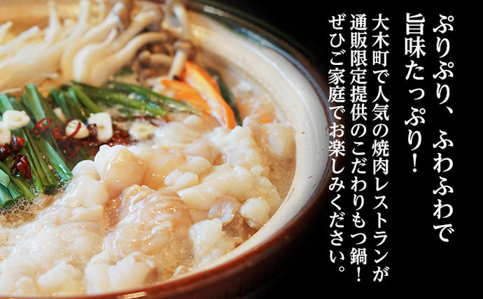 福岡県大木町のふるさと納税 国産牛もつ　もつ鍋セット　10人前　1,000g　　BU001