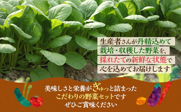 静岡県袋井市のふるさと納税 野菜 とれたて 季節の野菜 パック 8品前後 詰め合わせ セット 野菜セット 旬の野菜 旬 野菜詰め合わせ 野菜詰め合わせセット 産地直送 送料無料 たまねぎ にんじん じゃがいも ほうれん草 トマト キャベツ しいたけ 大根 白菜 冷蔵 静岡
