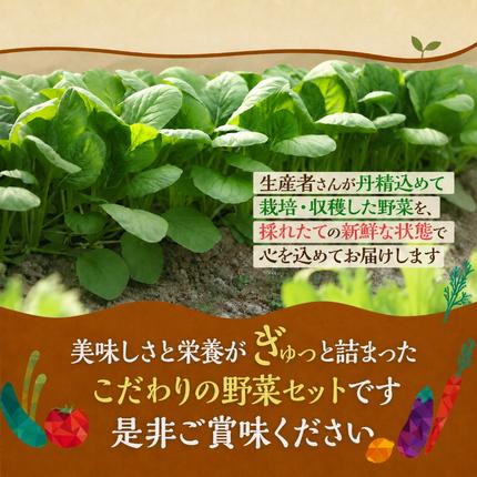 静岡県袋井市のふるさと納税 とれたて 野菜 パック 定期便 3回 季節の野菜 セット 詰め合わせ 8品前後 野菜セット 野菜詰め合わせ 3ヶ月 ジャガイモ 人参 大根 小松菜 白ネギ グリーンリーフ チンゲン菜 椎茸 トマト 水菜 葉ネギ 人気 厳選 静岡県