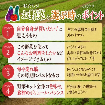 静岡県袋井市のふるさと納税 とれたて 野菜 パック 定期便 3回 季節の野菜 セット 詰め合わせ 8品前後 野菜セット 野菜詰め合わせ 3ヶ月 ジャガイモ 人参 大根 小松菜 白ネギ グリーンリーフ チンゲン菜 椎茸 トマト 水菜 葉ネギ 人気 厳選 静岡県