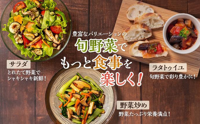 静岡県袋井市のふるさと納税 とれたて 野菜 パック 定期便 6回 季節の野菜 セット 詰め合わせ 8品前後 野菜セット 野菜詰め合わせ 6ヶ月 ジャガイモ 人参 大根 小松菜 白ネギ グリーンリーフ チンゲン菜 椎茸 トマト 水菜 葉ネギ 人気 厳選 静岡県
