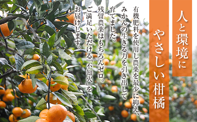 宮崎県日南市のふるさと納税 先行予約 訳あり 不知火 計4kg以上 傷み補償分入り 期間限定 数量限定 フルーツ 果物 くだもの 柑橘 みかん しらぬい 令和8年発送 おやつ デザート ジュース 国産 食品 おすすめ ご褒美 産地直送 おすそわけ 家庭用 ネイバーフッド 宮崎県 日南市 送料無料_A97-25