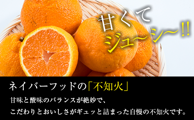 宮崎県日南市のふるさと納税 先行予約 訳あり 不知火 計4kg以上 傷み補償分入り 期間限定 数量限定 フルーツ 果物 くだもの 柑橘 みかん しらぬい 令和8年発送 おやつ デザート ジュース 国産 食品 おすすめ ご褒美 産地直送 おすそわけ 家庭用 ネイバーフッド 宮崎県 日南市 送料無料_A97-25