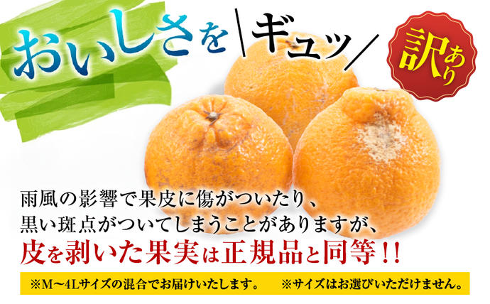 宮崎県日南市のふるさと納税 先行予約 訳あり 不知火 計4kg以上 傷み補償分入り 期間限定 数量限定 フルーツ 果物 くだもの 柑橘 みかん しらぬい 令和8年発送 おやつ デザート ジュース 国産 食品 おすすめ ご褒美 産地直送 おすそわけ 家庭用 ネイバーフッド 宮崎県 日南市 送料無料_A97-25