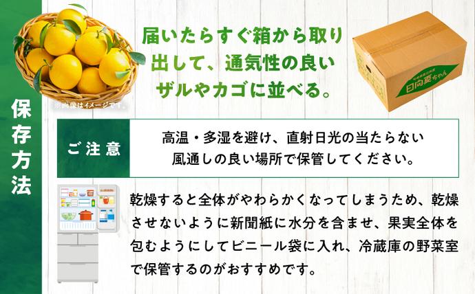 宮崎県日南市のふるさと納税 訳あり 日向夏 計5kg以上 期間限定 数量限定 果物 フルーツ くだもの 柑橘 みかん 令和8年発送 ジュース フルーツサンド おやつ デザート 国産 食品 おすすめ バラ詰め おすそ分け ご家庭用 手土産 宮崎県 日南市 送料無料_BB98-23