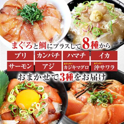 高知県田野町のふるさと納税 これが魚屋の漬け丼だ！魚屋のおまかせ5種漬け丼セット(マグロ＋鯛＋おまかせ3種) 5種×2P 合計10パック 各80g 鮪 ハマチ 鯛 カンパチ ブリ 詰め合わせ 漬け丼 漬け どんぶり 丼 鮮 魚 真空パック 個包装 冷凍