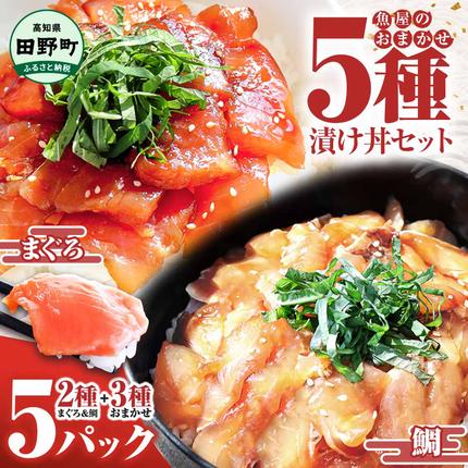 高知県田野町のふるさと納税 これが魚屋の漬け丼だ！魚屋のおまかせ5種漬け丼セット(マグロ＋鯛＋おまかせ3種) 80ｇ×5P 鮪 鯛 詰め合わせ 漬け丼 漬け どんぶり 丼 5パック 海鮮 魚 真空パック 個食 個包装 冷凍