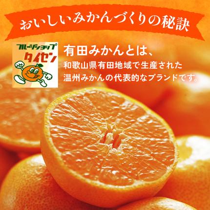 和歌山県美浜町のふるさと納税 【ご家庭用】和歌山有田みかん約10kg(2L、3Lサイズ)〇