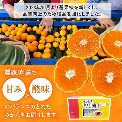 和歌山県美浜町のふるさと納税 【ご家庭用】和歌山有田みかん約10kg(2L、3Lサイズ)〇