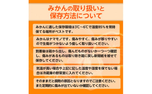 和歌山県美浜町のふるさと納税 【ご家庭用】和歌山有田みかん約10kg(2L、3Lサイズ)〇