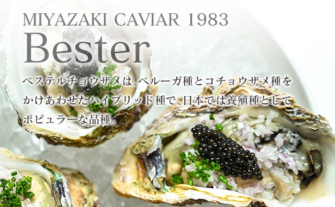 宮崎県日南市のふるさと納税 本格熟成キャビア「宮崎キャビア1983 ベステル」 計100g 魚卵 魚介 魚貝 国産 食品 加工品 新鮮 世界三大珍味 黒いダイヤ 希少 贅沢 海産物 おすすめ 高級 ご褒美 パーティー お祝い 記念日 人気 贈り物 贈答 冷凍 宮崎県 日南市 送料無料_MH1-23