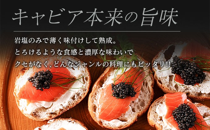 宮崎県日南市のふるさと納税 本格熟成キャビア「宮崎キャビア1983 ベステル」 計100g 魚卵 魚介 魚貝 国産 食品 加工品 新鮮 世界三大珍味 黒いダイヤ 希少 贅沢 海産物 おすすめ 高級 ご褒美 パーティー お祝い 記念日 人気 贈り物 贈答 冷凍 宮崎県 日南市 送料無料_MH1-23