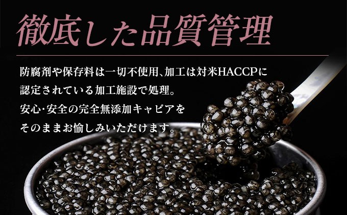 宮崎県日南市のふるさと納税 本格熟成キャビア「宮崎キャビア1983 ベステル」 計100g 魚卵 魚介 魚貝 国産 食品 加工品 新鮮 世界三大珍味 黒いダイヤ 希少 贅沢 海産物 おすすめ 高級 ご褒美 パーティー お祝い 記念日 人気 贈り物 贈答 冷凍 宮崎県 日南市 送料無料_MH1-23