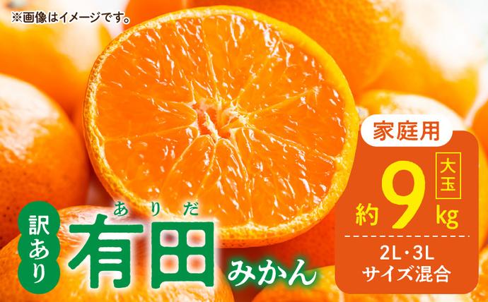 和歌山県湯浅町のふるさと納税 DZ6217_ご家庭用　有田みかん 大玉(2L,3Lサイズ混合) 約9kg