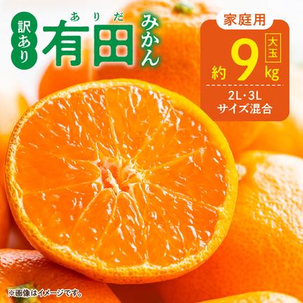 和歌山県湯浅町のふるさと納税 DZ6217_【2026年先行予約】ご家庭用 有田みかん 大玉(2L,3Lサイズ混合) 約9kg