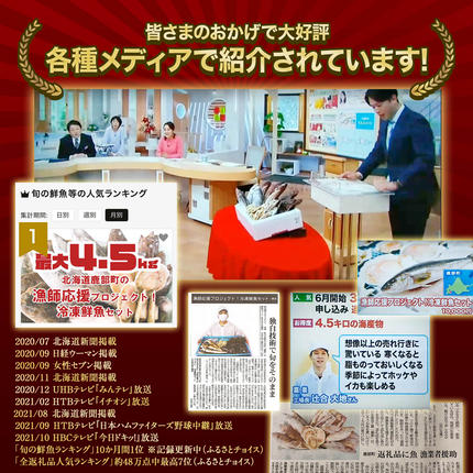 北海道鹿部町のふるさと納税 【2026年4月下旬発送】【緊急支援品】北海道 冷凍鮮魚セット 最大4.5kg 「漁師応援プロジェクト！」 下処理済み 4～5種 ホタテが必ず入る おまかせ セット 事業者支援 鮮魚 魚 魚介 訳あり セット 詰め合わせ