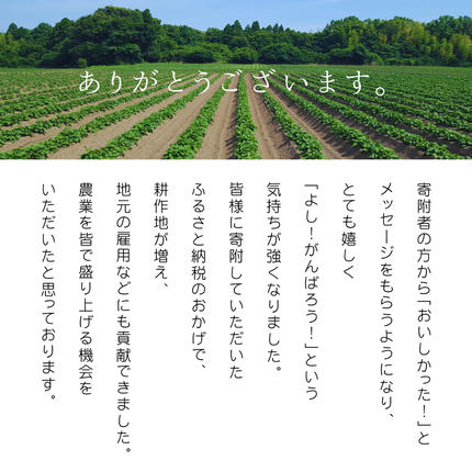 茨城県八千代町のふるさと納税 【 3ヵ月定期便 】 茨城 八千代町産 国産 紅はるか 干し芋 平干し 180g × 3 袋 ( 540g ) × 3回 松田製茶 特製 ほしいも 干しいも さつまいも 合計1620g [AF155ya]