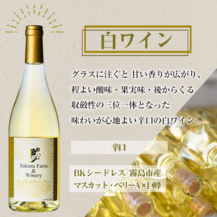 K-073 《セゾン限定》鹿児島県 霧島市産 日本ワイン白・赤2本セット