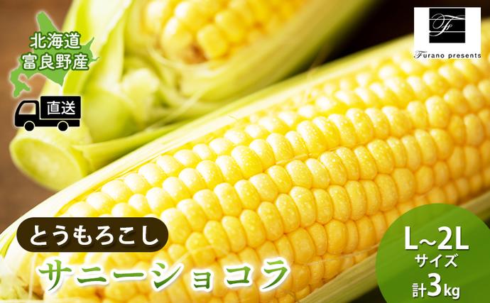 北海道富良野市のふるさと納税 【2025年8月～発送】北海道 富良野市 とうもろこし サニーショコラ 黄色 L～2L サイズ 計3kg ふらの 野菜 トウモロコシ とうきび 数量限定 (フラノプレゼンツ)