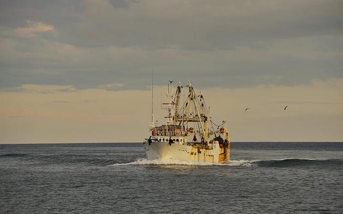北海道枝幸町のふるさと納税 北海道 枝幸町 岩谷さん家の船の 肉厚 ホッケ フライ (1kg) 【 加工食品 白身フライ おかず 惣菜 お弁当 時短 揚げ物 夕飯 魚料理 北海道 オホーツク 枝幸 】