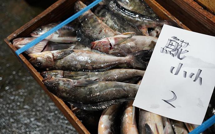 北海道枝幸町のふるさと納税 北海道 枝幸町 岩谷さん家の船の 肉厚 ホッケ フライ (1kg) 【 加工食品 白身フライ おかず 惣菜 お弁当 時短 揚げ物 夕飯 魚料理 北海道 オホーツク 枝幸 】