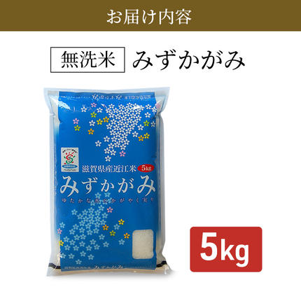 滋賀県豊郷町のふるさと納税 特A受賞歴 みずかがみ BG無洗米 5kg 令和7年産 滋賀県産 米 近江米 ミズカガミ 時短
