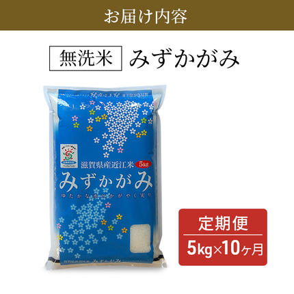 滋賀県豊郷町のふるさと納税 米 定期便 10ヶ月 5kg みずかがみ BG無洗米 令和7年産 滋賀県産