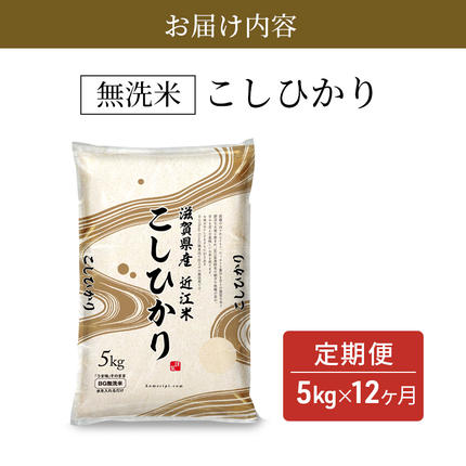 滋賀県豊郷町のふるさと納税 令和7年産 こしひかり BG無洗米 定期便 12ヶ月 5kg 米 滋賀県産 豊郷町 ご飯 国産 お米 時短 節水