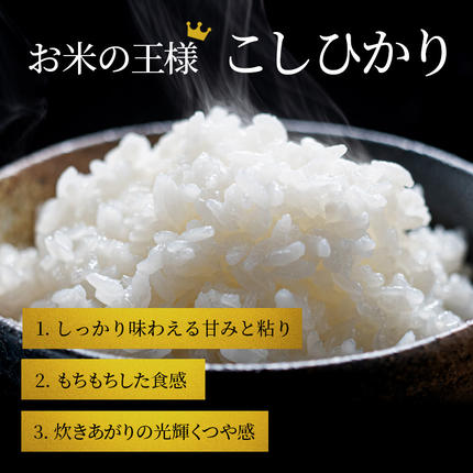 滋賀県豊郷町のふるさと納税 令和7年産 こしひかり BG無洗米 定期便 12ヶ月 5kg 米 滋賀県産 豊郷町 ご飯 国産 お米 時短 節水