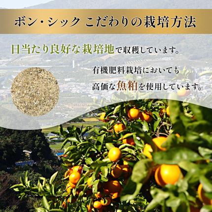 静岡県浜松市のふるさと納税 特秀 名匠のみかん S～Mサイズ 5kg【配送不可：離島】果物 くだもの フルーツ 旬の果物 旬のフルーツ みかん 蜜柑 ミカン 柑橘 柑橘類 秀品 静岡 静岡県 浜松市