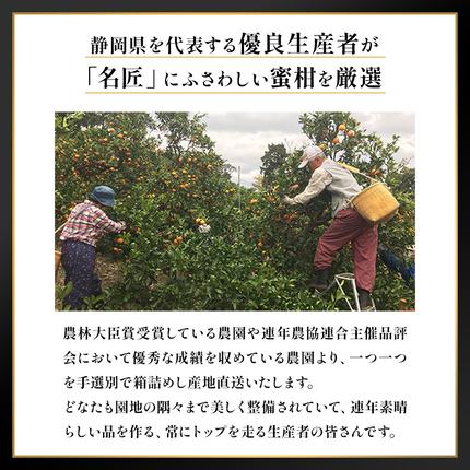 静岡県浜松市のふるさと納税 特秀 名匠のみかん S～Mサイズ 5kg【配送不可：離島】果物 くだもの フルーツ 旬の果物 旬のフルーツ みかん 蜜柑 ミカン 柑橘 柑橘類 秀品 静岡 静岡県 浜松市