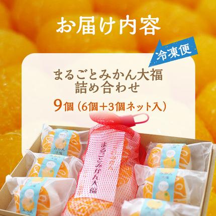 大福 まるごと みかん大福 詰め合わせ セット 三ヶ日みかん みかん