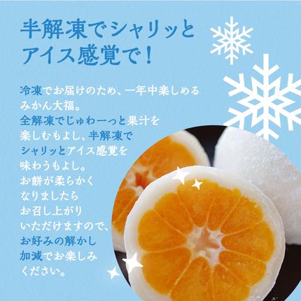 大福 まるごと みかん大福 詰め合わせ セット 三ヶ日みかん みかん
