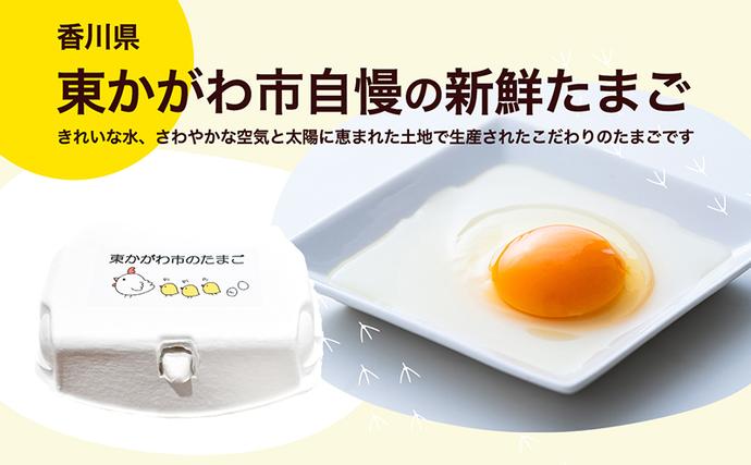 香川県東かがわ市のふるさと納税 東かがわ市のたまご「鶏卵Mサイズ（10個×3P）」 新鮮卵 卵料理 食材 料理 調理 グルメ 玉子かけご飯 TKG