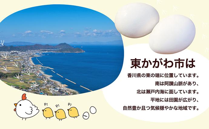 香川県東かがわ市のふるさと納税 東かがわ市のたまご「鶏卵Mサイズ（10個×3P）」 新鮮卵 卵料理 食材 料理 調理 グルメ 玉子かけご飯 TKG