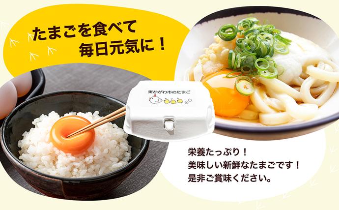 香川県東かがわ市のふるさと納税 東かがわ市のたまご「鶏卵Mサイズ（10個×3P）」 新鮮卵 卵料理 食材 料理 調理 グルメ 玉子かけご飯 TKG