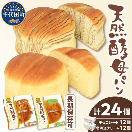 デイプラス天然酵母パン 北海道クリーム・チョコレート（12個入り×2