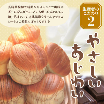 デイプラス天然酵母パン 北海道クリーム・チョコレート（12個入り×2