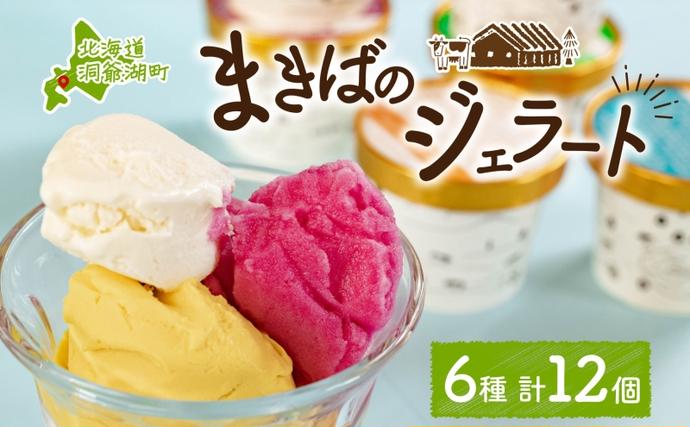 北海道洞爺湖町のふるさと納税 北海道 まきばのジェラート 6種 各2個 計12個 セット ジェラート ミルク 赤しそ カムイミンタルの塩 とうもろこし かぼちゃ 白花豆 アイスクリーム 保存料不使用 シャーベット 地産地消 アイス 牛乳 氷菓 お取り寄せ グルメ ギフト 送料無料 スイーツ