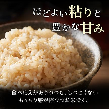 北海道仁木町のふるさと納税 3ヵ月 定期便 ホクレンゆめぴりか（玄米6kg（3kg×2袋））ANA機内食採用 お米 米 ごはん 玄米 国産 北海道 こめ コメ [JA新おたる]