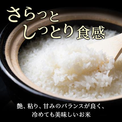 北海道仁木町のふるさと納税 12ヵ月 定期便 ホクレン北海道ななつぼし（無洗米5kg） お米  米 ごはん 無洗米 白米 国産 北海道 こめ コメ 12回 [JA新おたる]