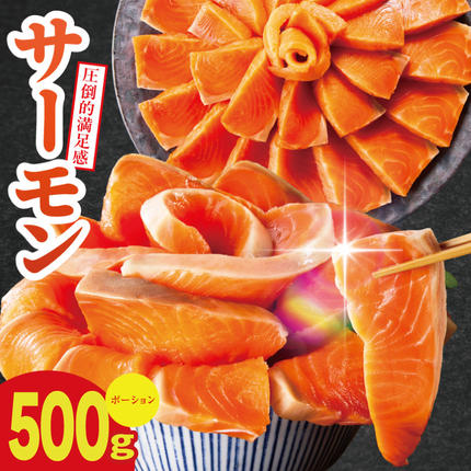 【お試し】サーモン 500g ポーション【