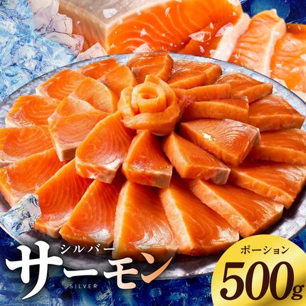 【お試し】サーモン 500g ポーション【