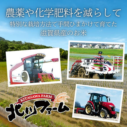 滋賀県豊郷町のふるさと納税 米 定期便 5kg 4ヶ月連続 近江米 ミルキークイーン 令和7年産