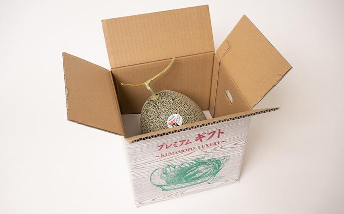 熊本県八代市のふるさと納税 【先行予約】 熊本県八代市産 肥後グリーンメロン 特大1玉 (2.2kg以上) メロン めろん 果物 くだもの フルーツ デザート 旬 青肉 ジューシー 甘い 【2026年6月中旬より順次発送】