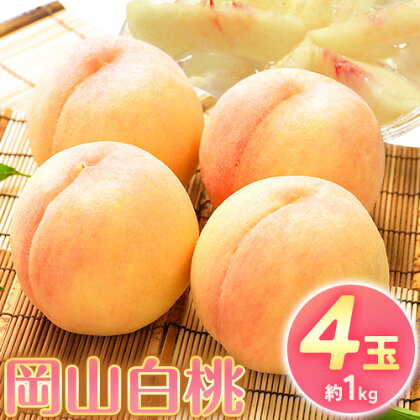 [2026年先行予約]桃 もも 岡山白桃 4玉 約1kg 岡山県産 環山堂株式会社[2026年7月上旬-8月上旬頃より発送予定]岡山県 浅口市 白桃 果物 フルーツ 送料無料[配送不可地域あり]