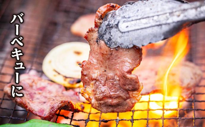 北海道新ひだか町のふるさと納税 ＜ 定期便 6回 ＞ 訳なし ＜ 厚切り ＞ 牛タン 500g ( 全 3kg ) 北海道 新ひだか 日高 昆布 使用 特製 タレ漬け 定期便 味付き 牛肉 肉 牛たん ミツイシコンブ