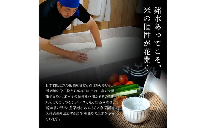 高知県田野町のふるさと納税 ★四国一小さなまちの地酒★ 美丈夫純米大吟醸 鄙（ひな） 1800ml×1本 美丈夫 お歳暮 日本酒 一升瓶 お酒 酒 おさけ 1.8リットル 度数 15度 おいしい 地酒 男性 父 誕生日 20歳